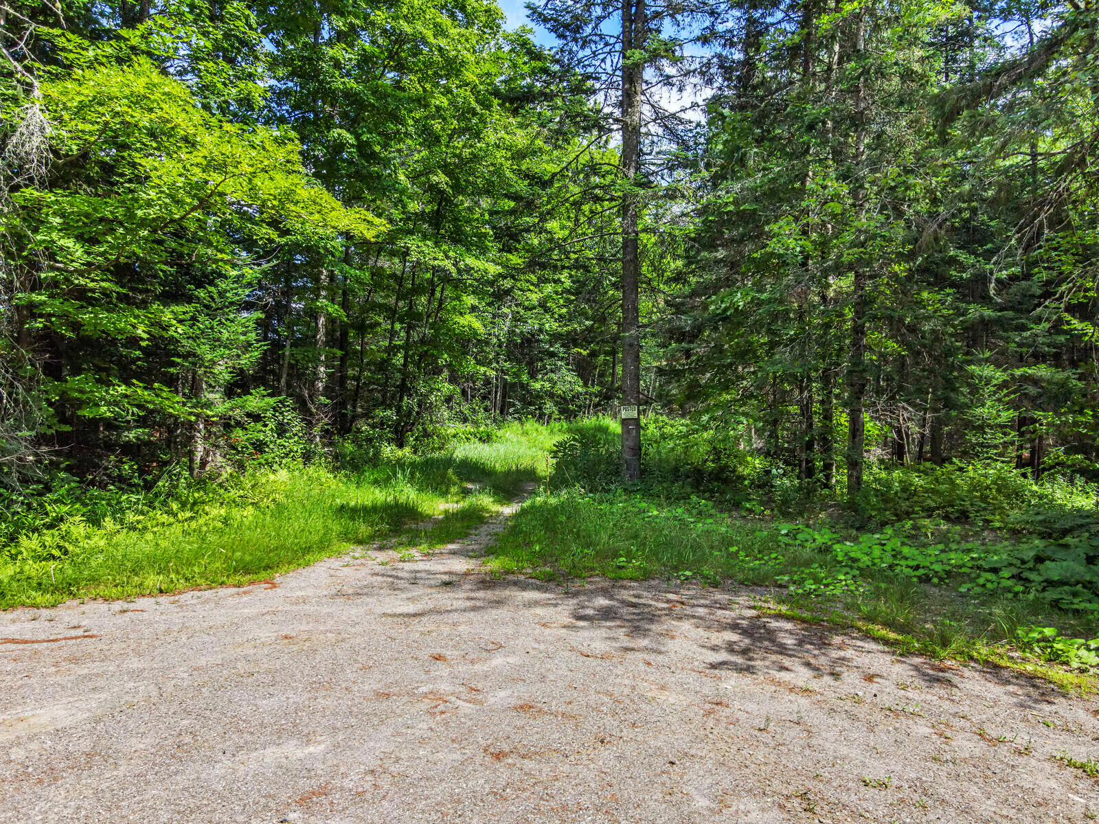 0 Raven / Hamm Road Thorndike, ME 04986 - Photo 14 of 14 12_DJI_0827_copy_DxO_mls