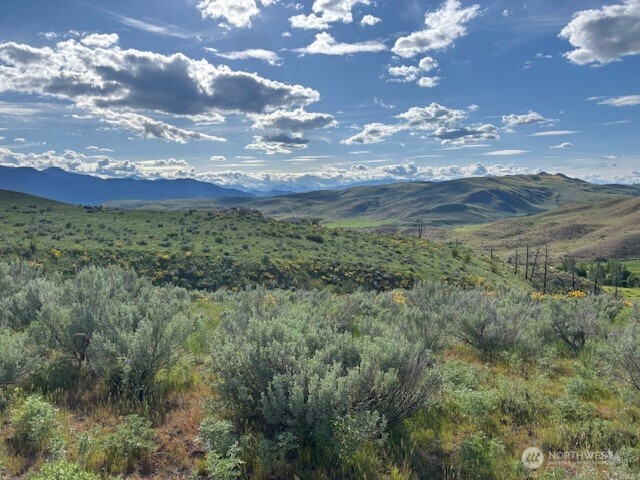 27 Frazer Crossing Road Twisp, WA 98856 - Photo 1 of 1 Gallery Image 1