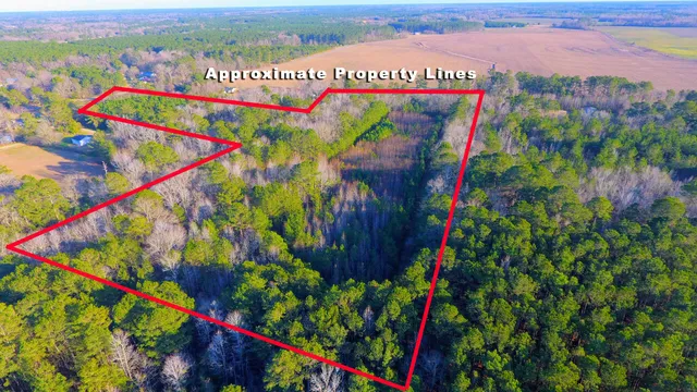 $300,000 | 0 Deliverance Drive, Eutawville, SC 29048