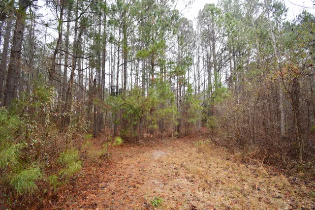 $300,000 | 0 Deliverance Drive, Eutawville, SC 29048