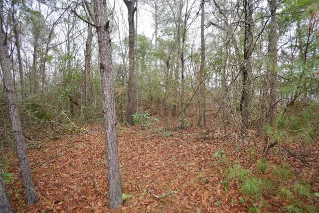 $300,000 | 0 Deliverance Drive, Eutawville, SC 29048