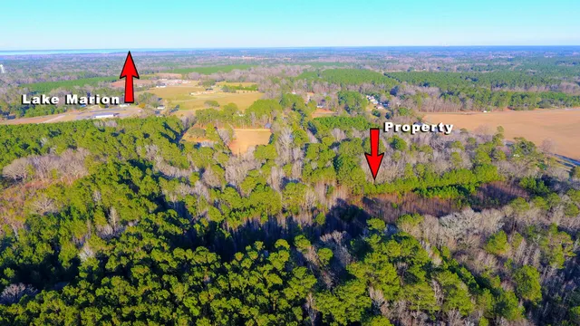 $300,000 | 0 Deliverance Drive, Eutawville, SC 29048