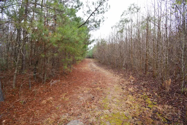 $300,000 | 0 Deliverance Drive, Eutawville, SC 29048