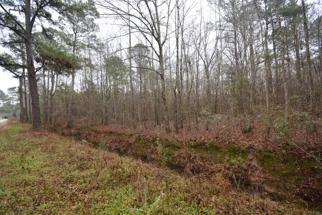 $300,000 | 0 Deliverance Drive, Eutawville, SC 29048