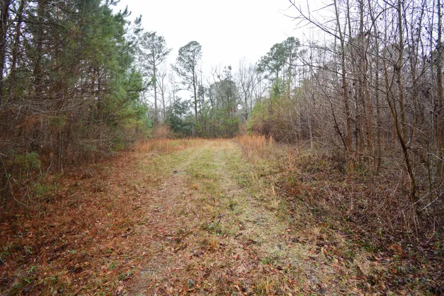 $300,000 | 0 Deliverance Drive, Eutawville, SC 29048