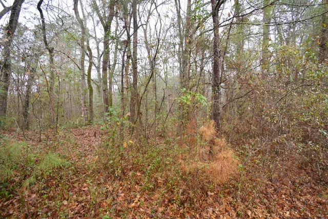 $300,000 | 0 Deliverance Drive, Eutawville, SC 29048