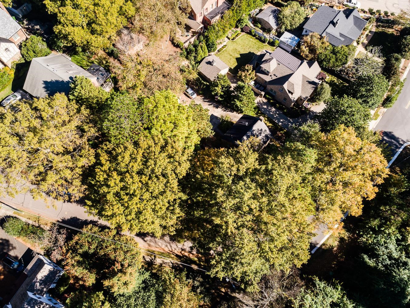 808 Williamson Drive Raleigh, NC 27608 - Photo 14 of 32