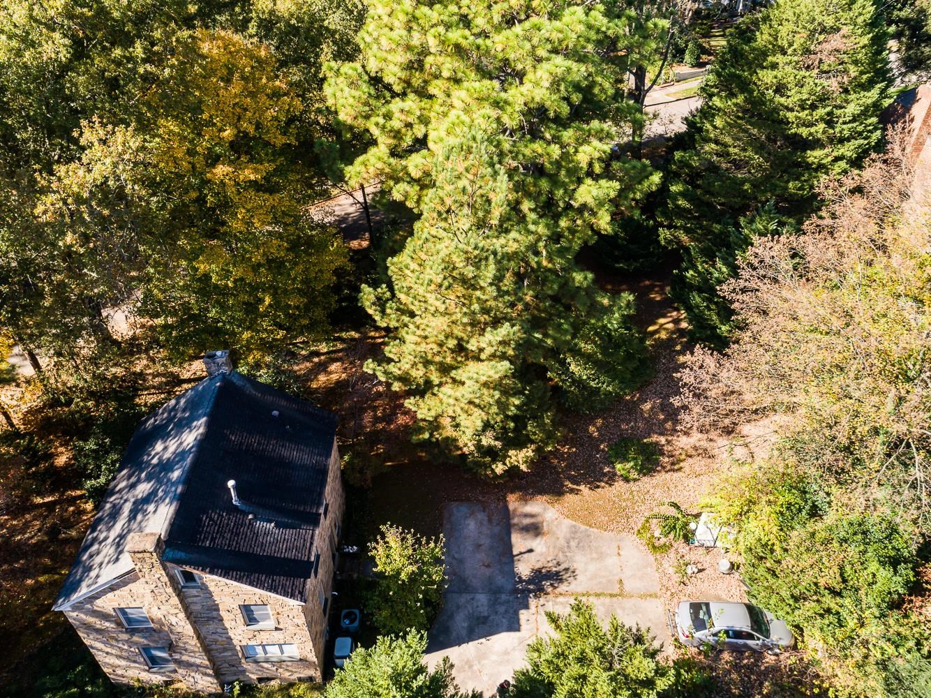 808 Williamson Drive Raleigh, NC 27608 - Photo 17 of 32 an outdoor space with garden view