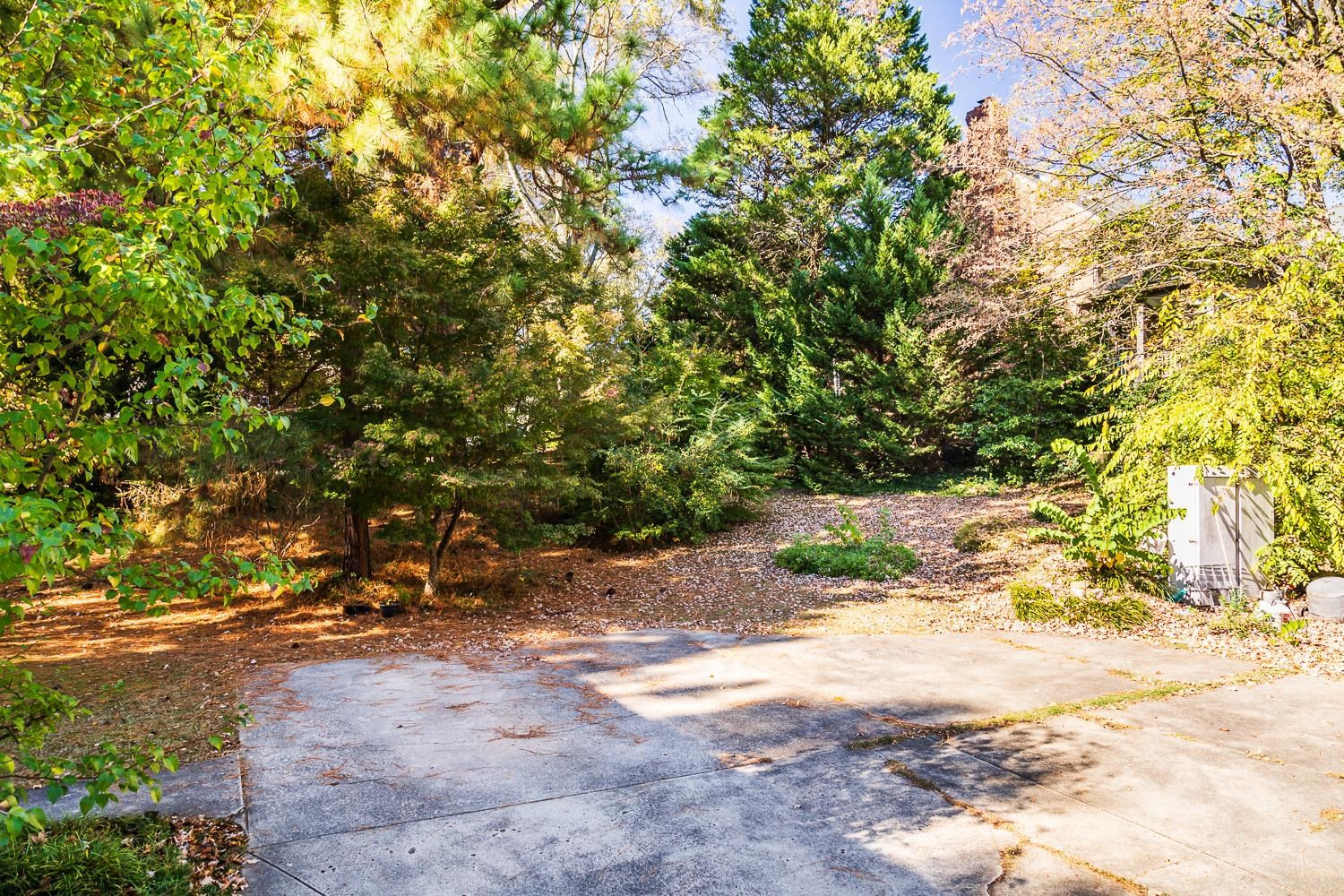 808 Williamson Drive Raleigh, NC 27608 - Photo 18 of 32 a view of a yard with a tree