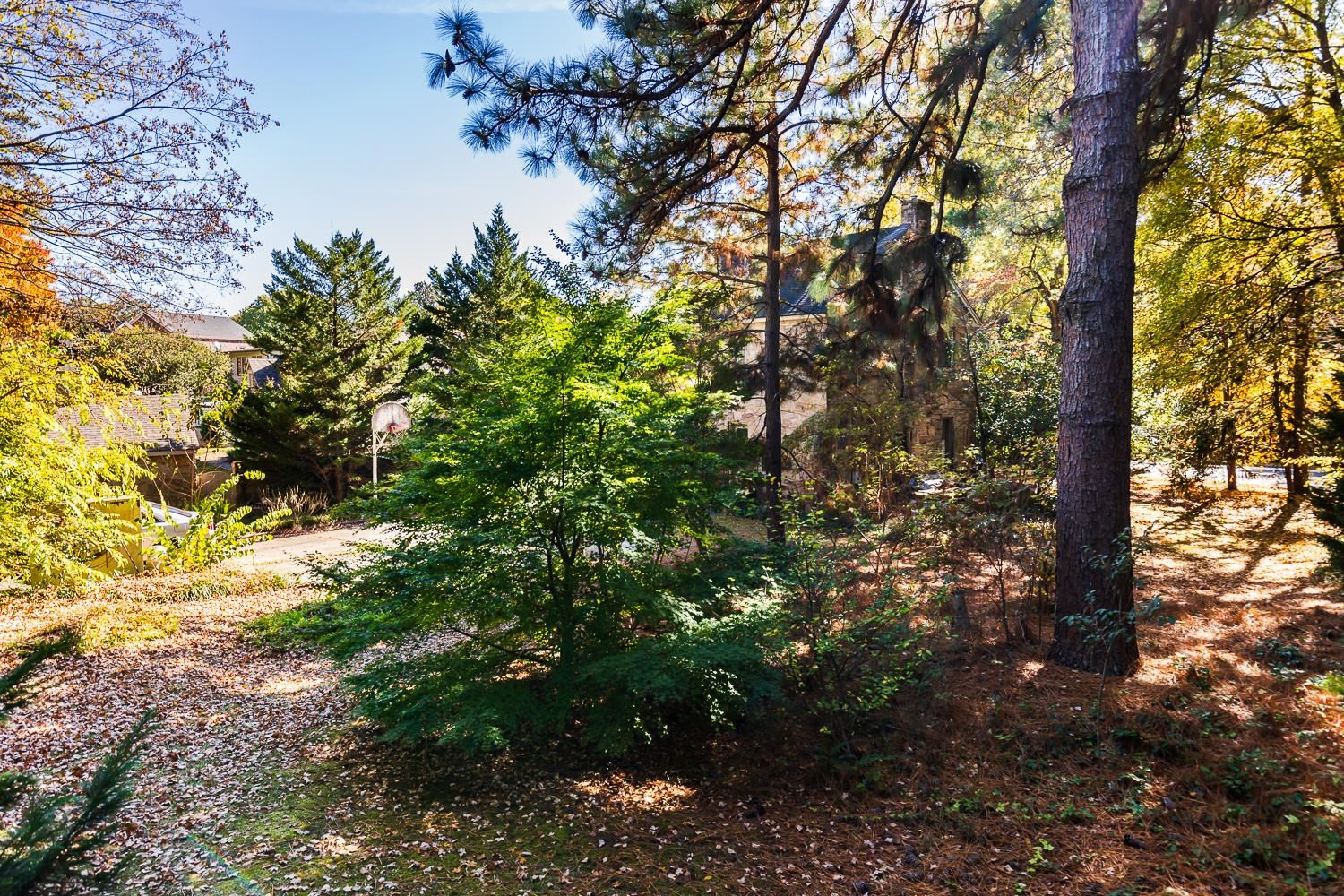 808 Williamson Drive Raleigh, NC 27608 - Photo 20 of 32 a view of a tree in a yard