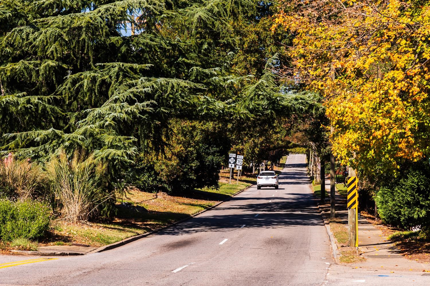 808 Williamson Drive Raleigh, NC 27608 - Photo 29 of 32 a view of outdoor space with chairs