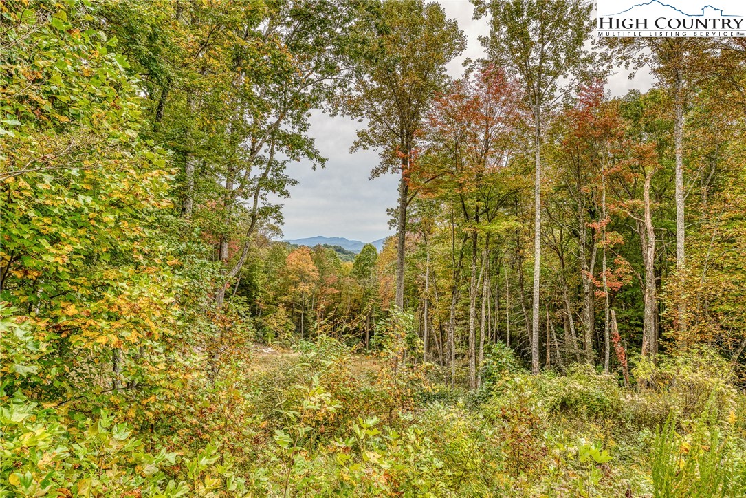 591-611 Locust Gap Road Vilas, NC 28692 - Photo 44 of 50 Gallery Image 44