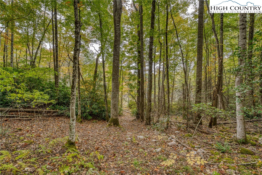 591-611 Locust Gap Road Vilas, NC 28692 - Photo 49 of 50 Gallery Image 49