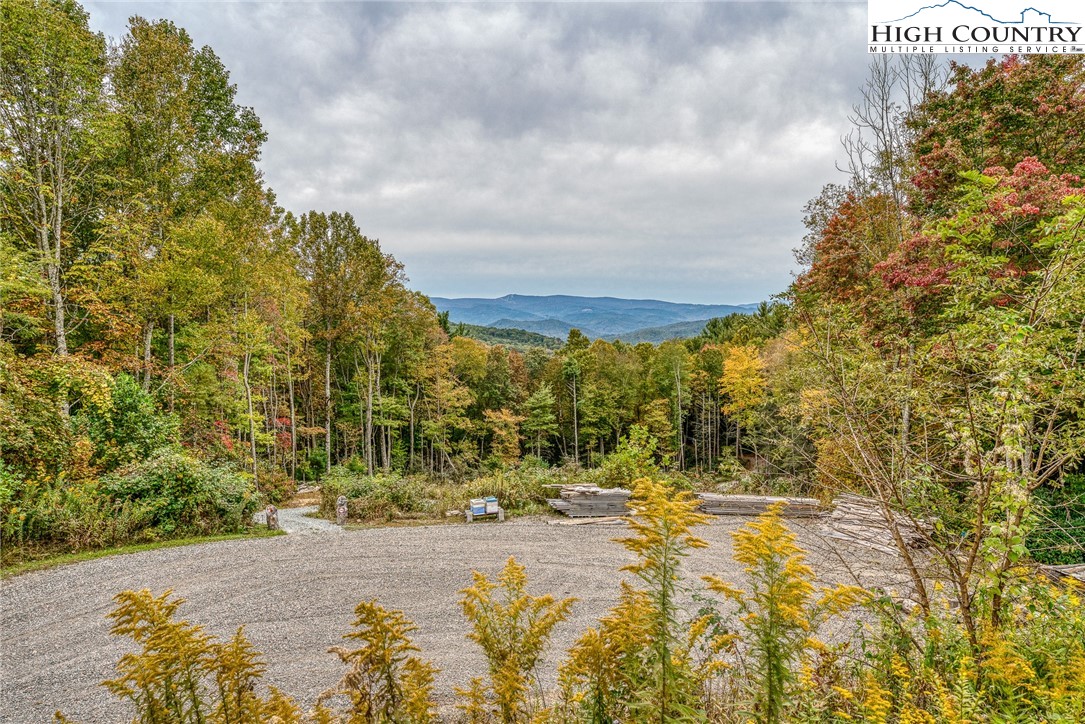 591-611 Locust Gap Road Vilas, NC 28692 - Photo 8 of 50 Gallery Image 8