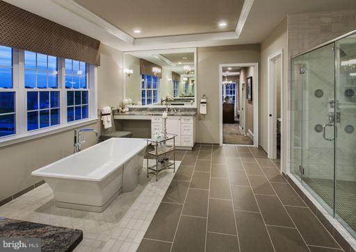14428 Maple Ridge Court Baldwin, MD 21013 - Photo 4 of 6 a large white bathroom with a granite countertop sink a toilet a mirror and shower