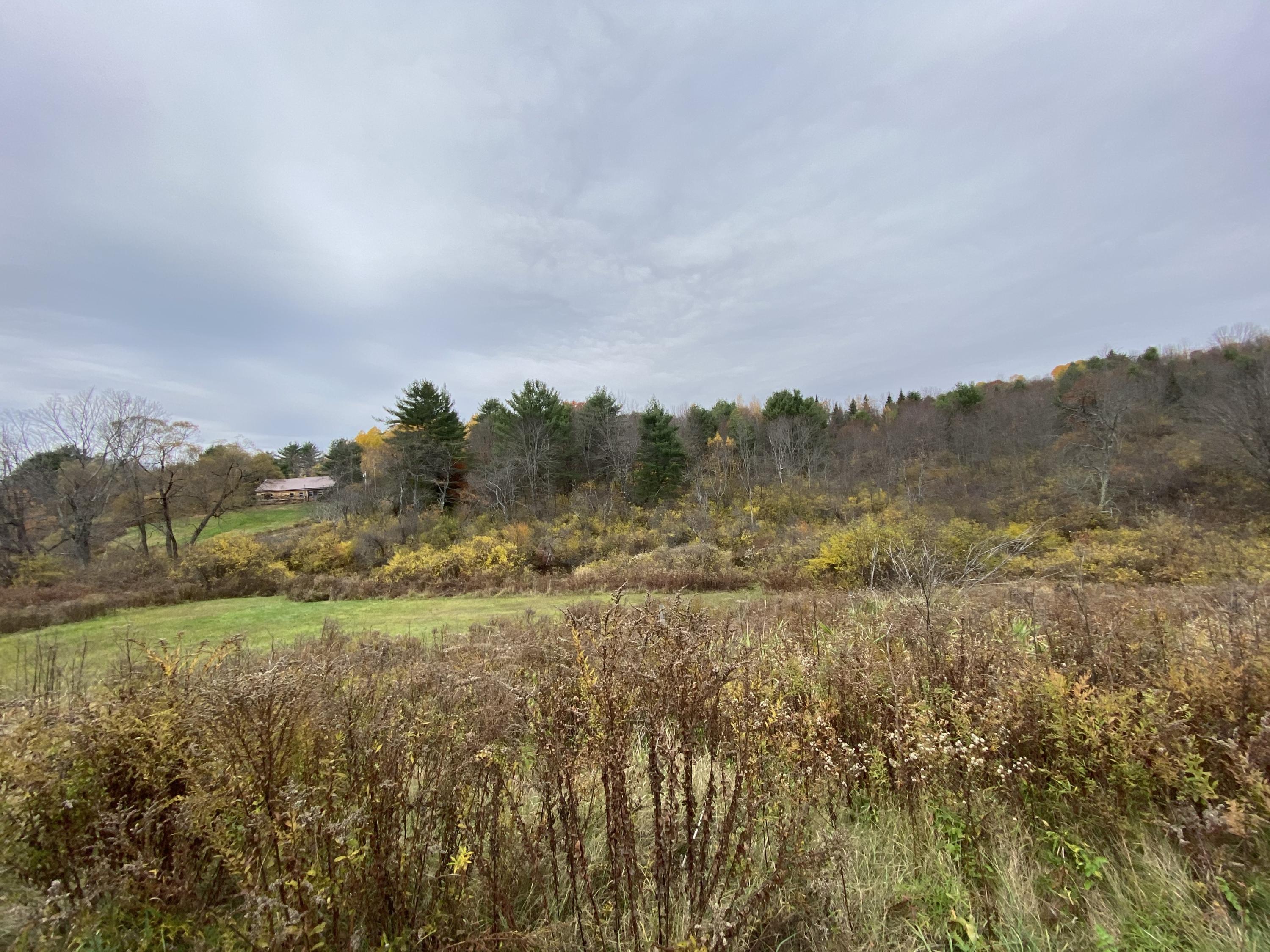 121 Middle Road Fairfield, ME 04937 - Photo 4 of 10 IMG-6960