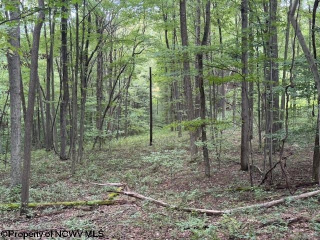 Tbd Simpson Road Belington, WV 26250 - Photo 6 of 30 Gallery Image 6