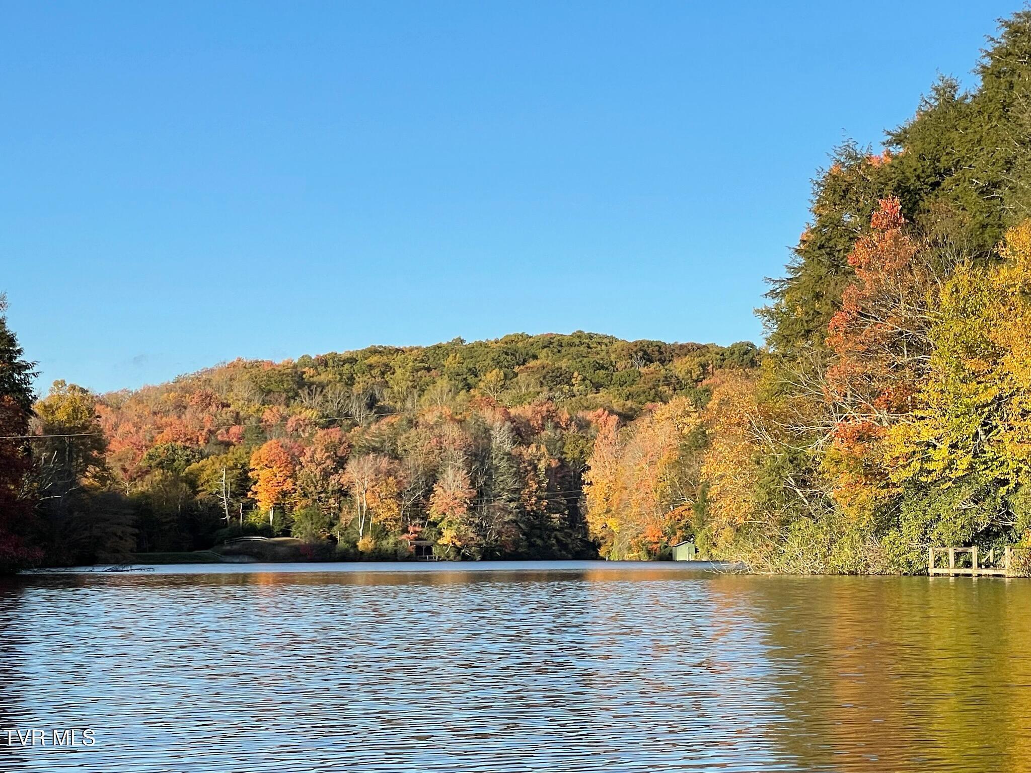 144 Ripshin Lake Road Roan Mountain, TN 37687 - Photo 49 of 54 Fall is coming