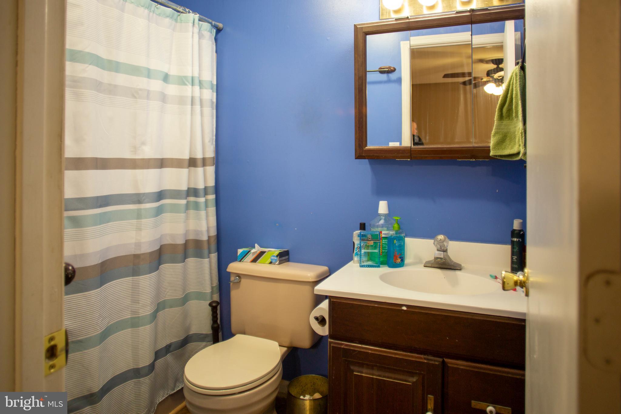 25716 Woodfield Road Damascus, MD 20872 - Photo 17 of 31 Master bath