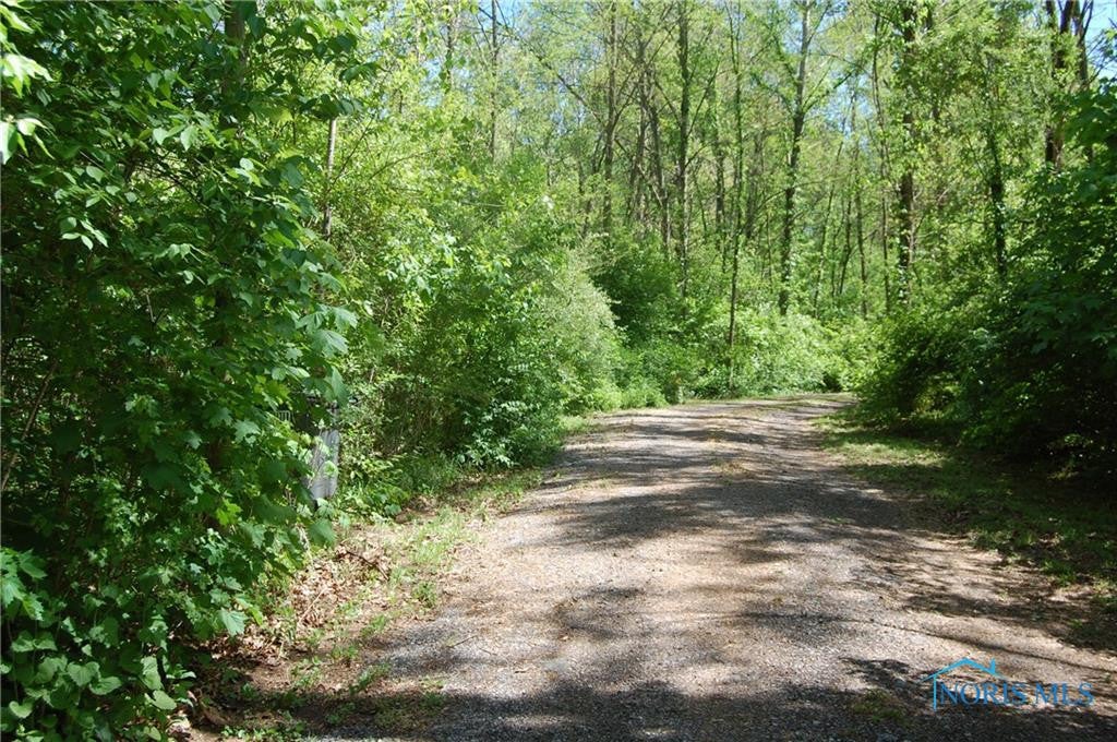 10203 Angola Road Swanton, OH 43558 - Photo 38 of 46 Gallery Image 38
