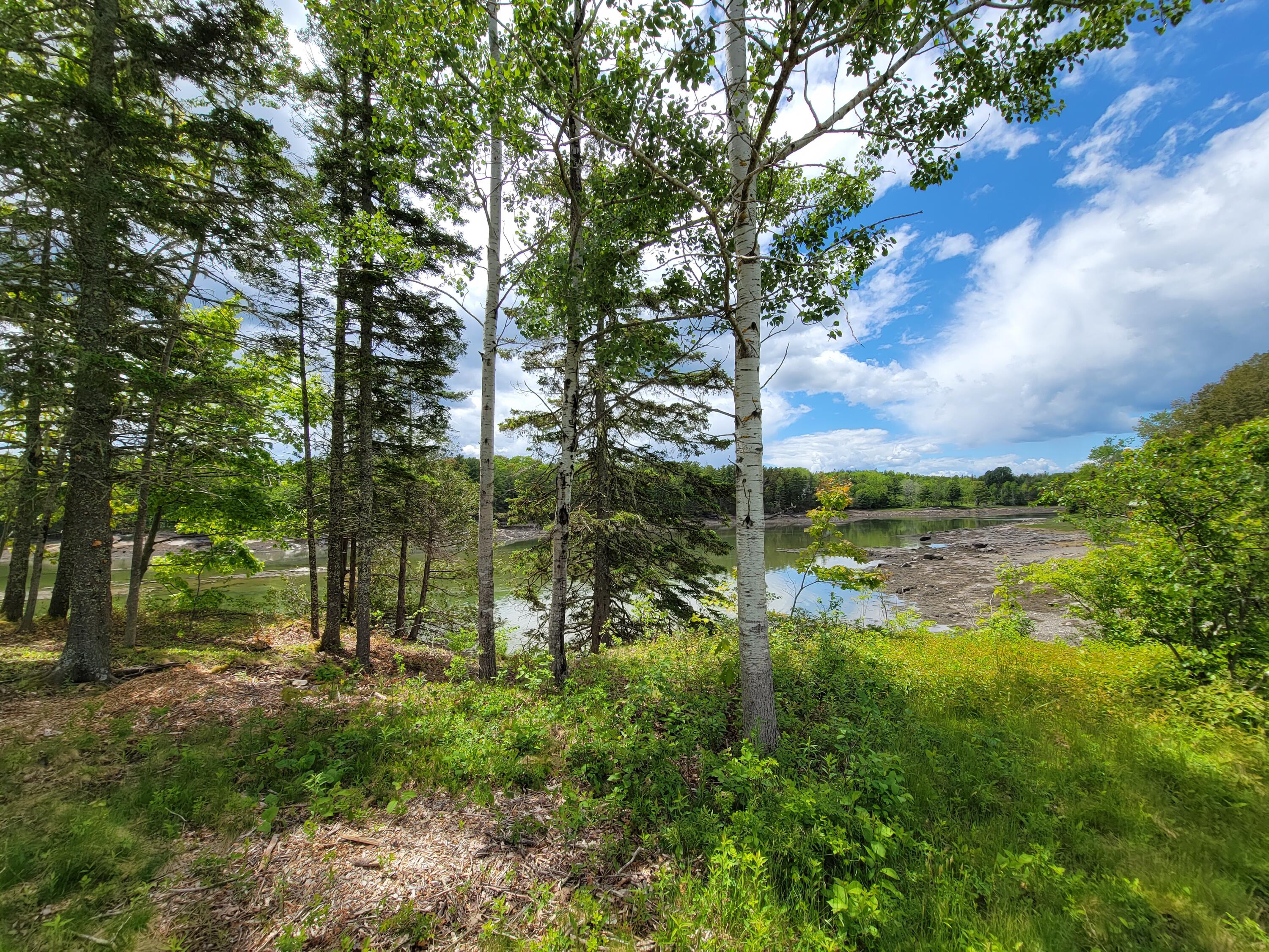 87 Hardy Point Road Pembroke, ME 04666 - Photo 7 of 13 20220605_125718