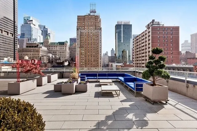 a view of a patio with couches and a potted plant on a table