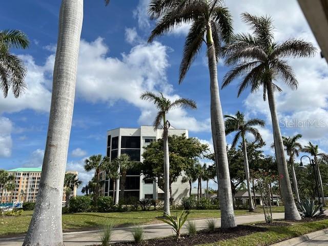 front view of a building with a palm tree