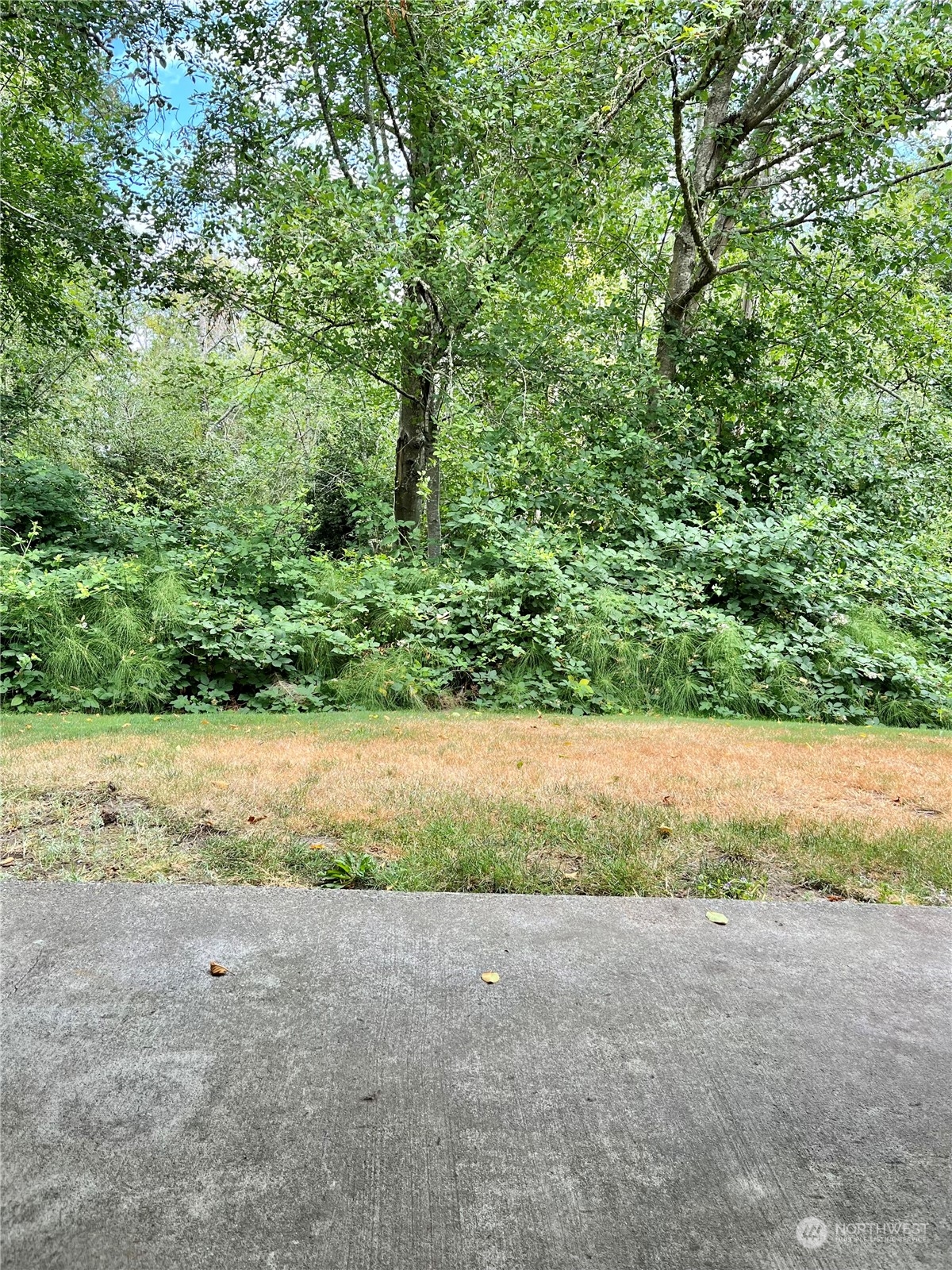 3206 Pine Road Northeast, Unit D5 Bremerton, WA 98310 - Photo 14 of 16 Gallery Image 14