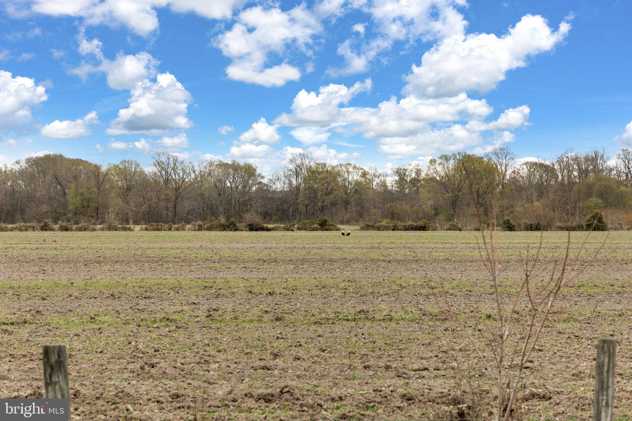 1511 Bowie Road Colonial Beach, VA 22443 - Photo 27 of 40