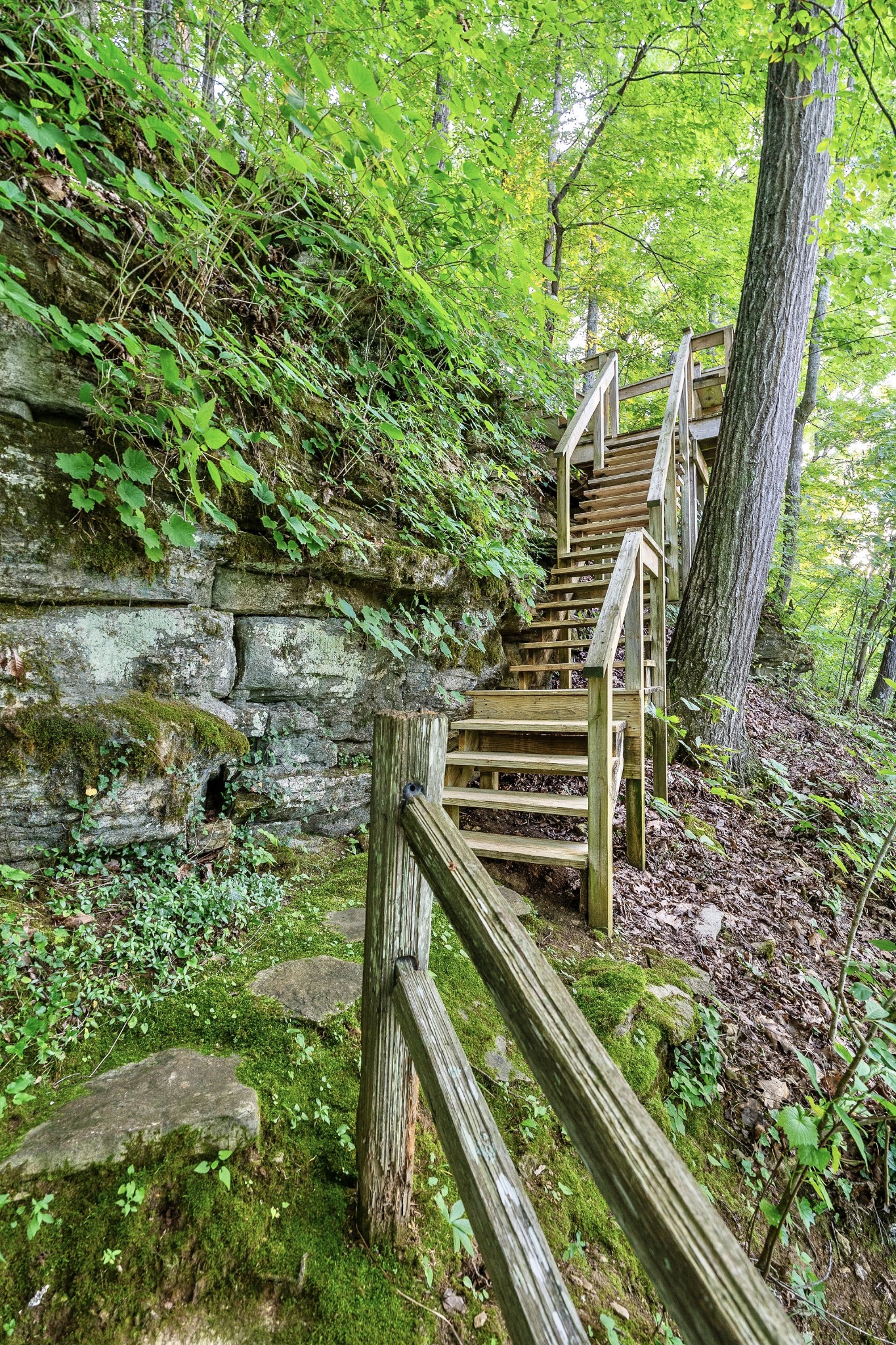 260 Watson Road Rock Island, TN 38581 - Photo 43 of 58 Gallery Image 43