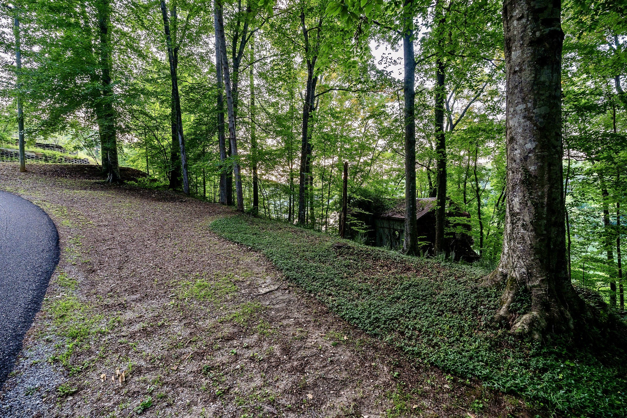 260 Watson Road Rock Island, TN 38581 - Photo 57 of 58 Gallery Image 57