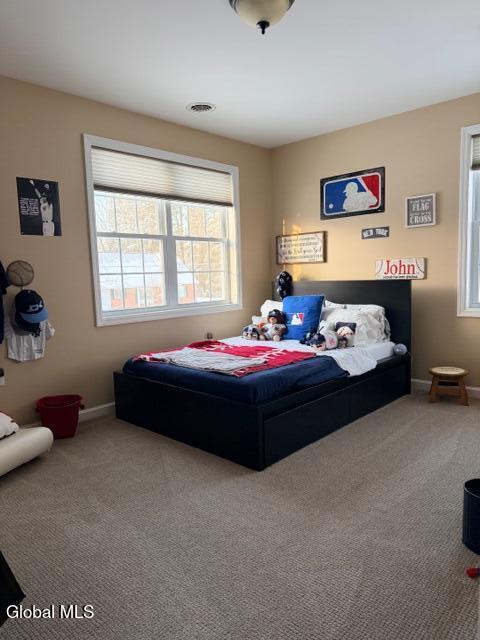 7 Harmon Road Glenville, NY 12302 - Photo 25 of 39 image5