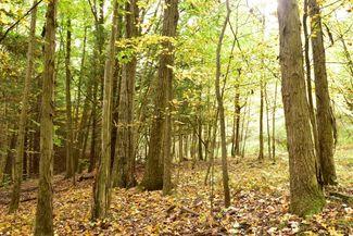 2894 Lockwood Run Road Baldwin, NY 14859 - Photo 1 of 1 Gallery Image 1