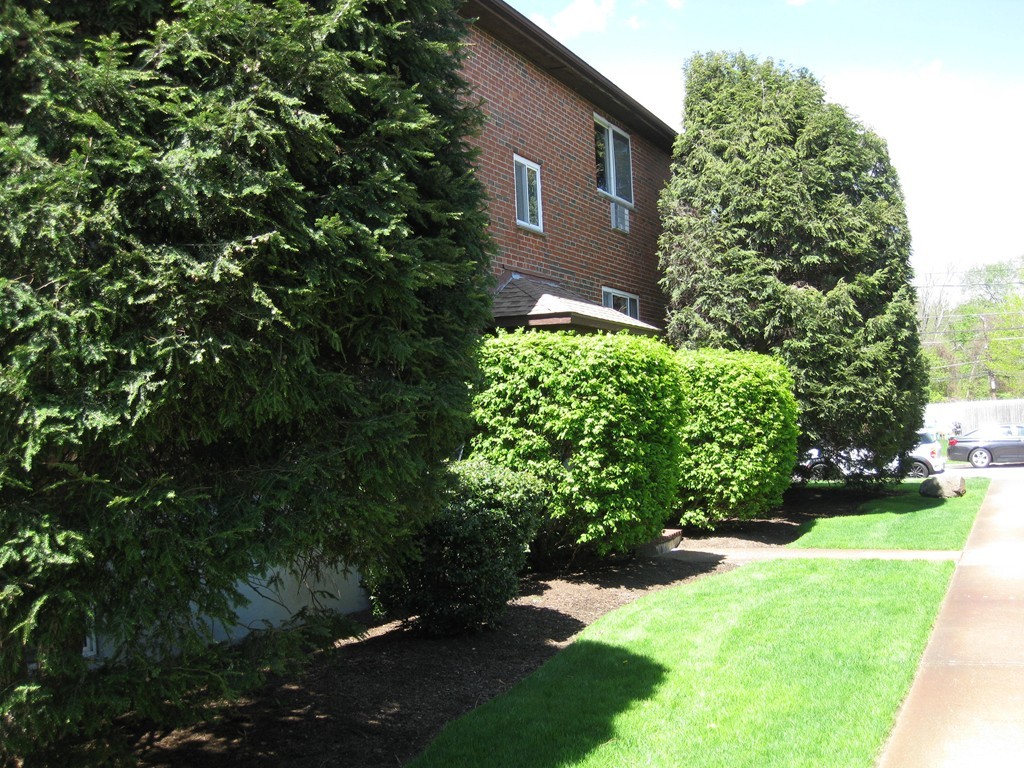 36 Bryon Road, Unit 6 Boston, MA 02467 - Photo 4 of 16