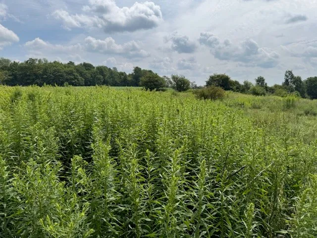 $139,900 | 4380 Highway 80, Columbus, NY 13460