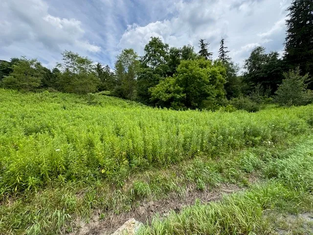 $139,900 | 4380 Highway 80, Columbus, NY 13460