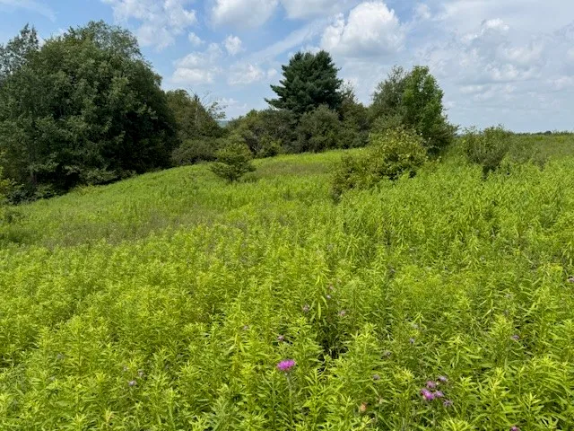 $139,900 | 4380 Highway 80, Columbus, NY 13460