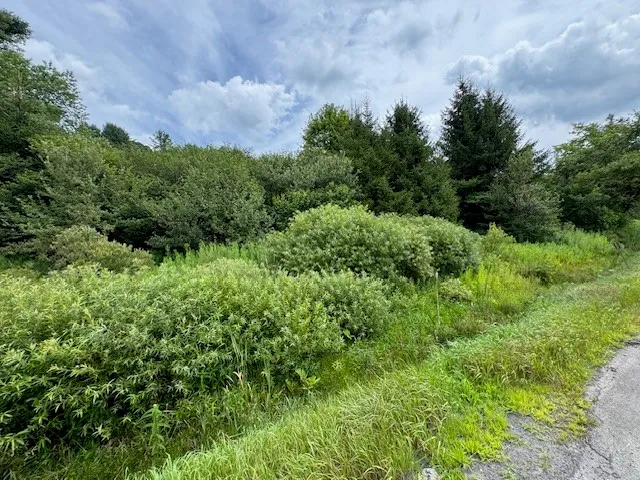 $139,900 | 4380 Highway 80, Columbus, NY 13460