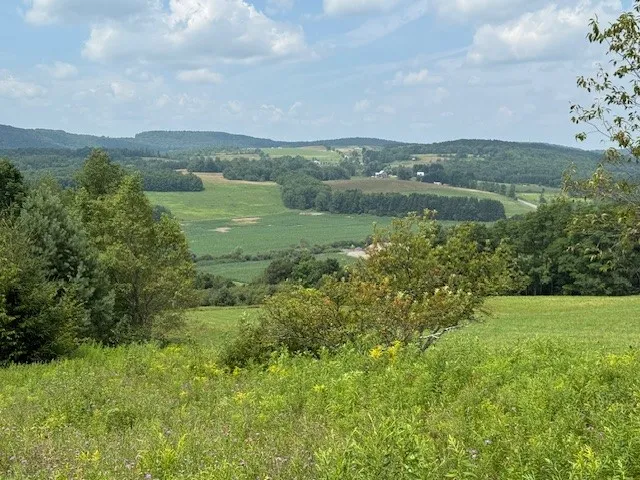 $139,900 | 4380 Highway 80, Columbus, NY 13460