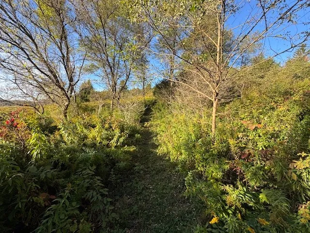 $139,900 | 4380 Highway 80, Columbus, NY 13460