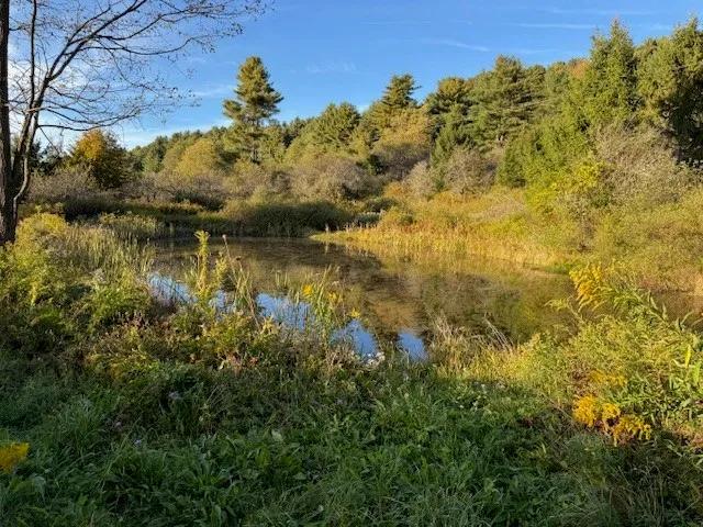 $139,900 | 4380 Highway 80, Columbus, NY 13460