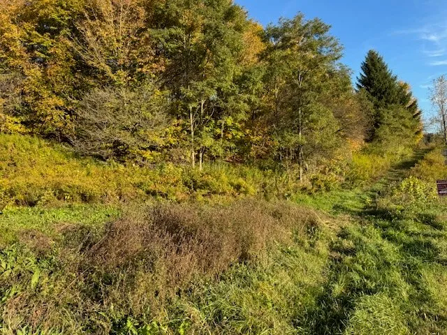 $139,900 | 4380 Highway 80, Columbus, NY 13460