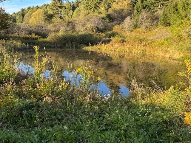 $139,900 | 4380 Highway 80, Columbus, NY 13460