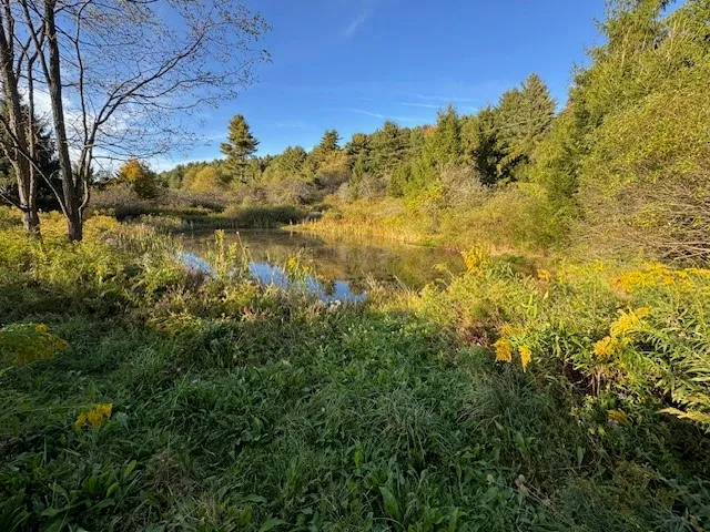 $139,900 | 4380 Highway 80, Columbus, NY 13460