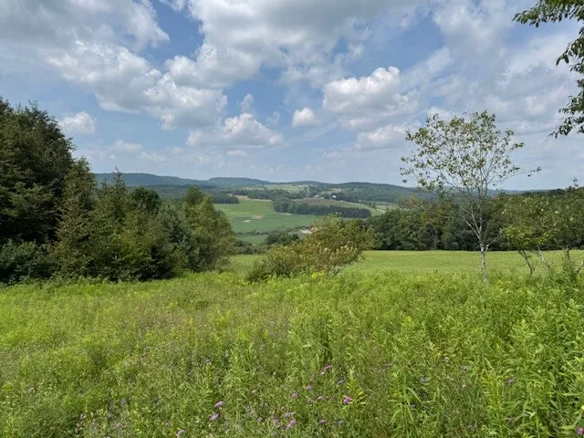 $139,900 | 4380 Highway 80, Columbus, NY 13460