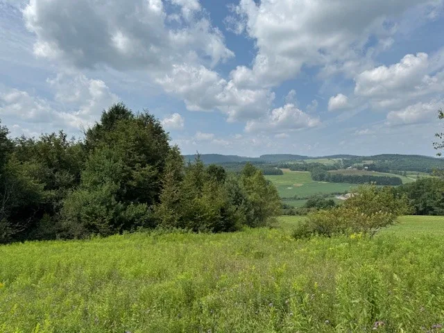 $139,900 | 4380 Highway 80, Columbus, NY 13460