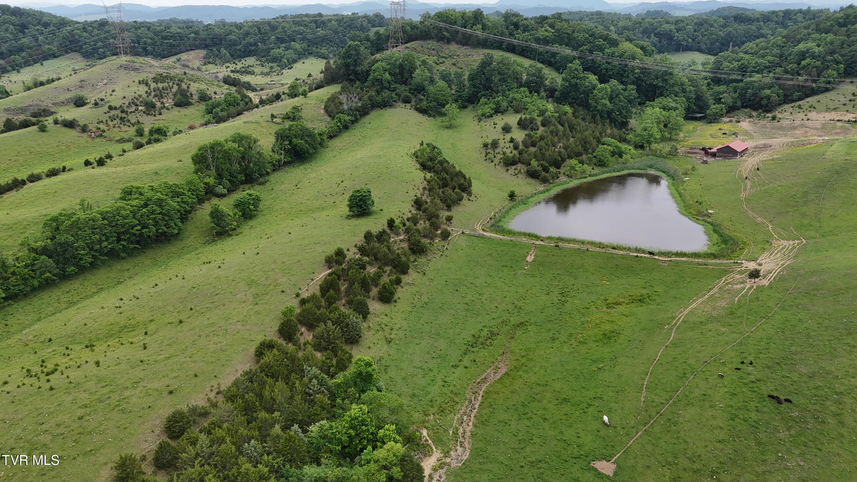 1168 Webster Valley Road Rogersville, TN 37857 - Photo 12 of 59 dji_fly_20250519_153736_0038_17476837405