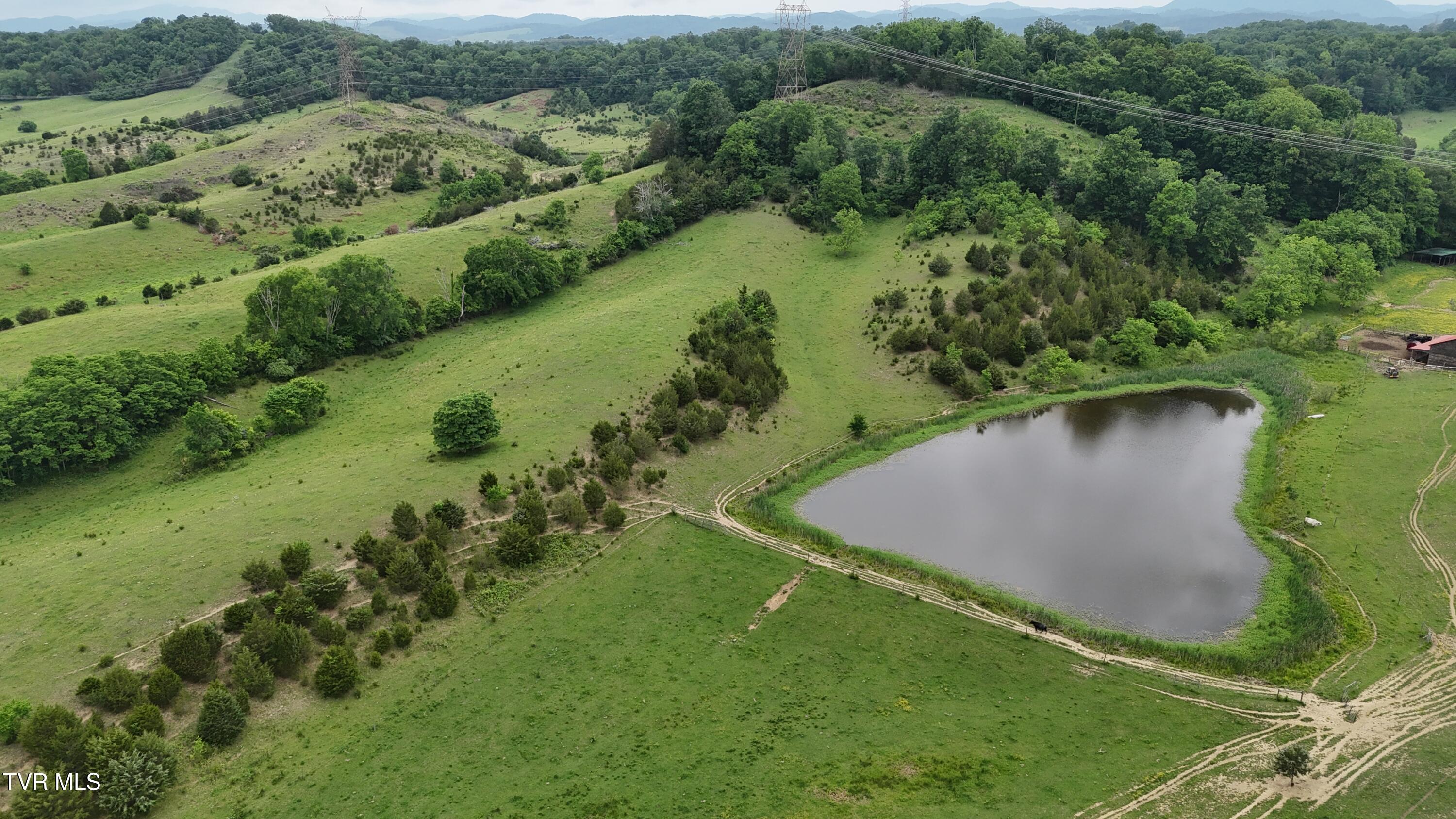 1168 Webster Valley Road Rogersville, TN 37857 - Photo 13 of 59 dji_fly_20250519_153748_0039_17476837400