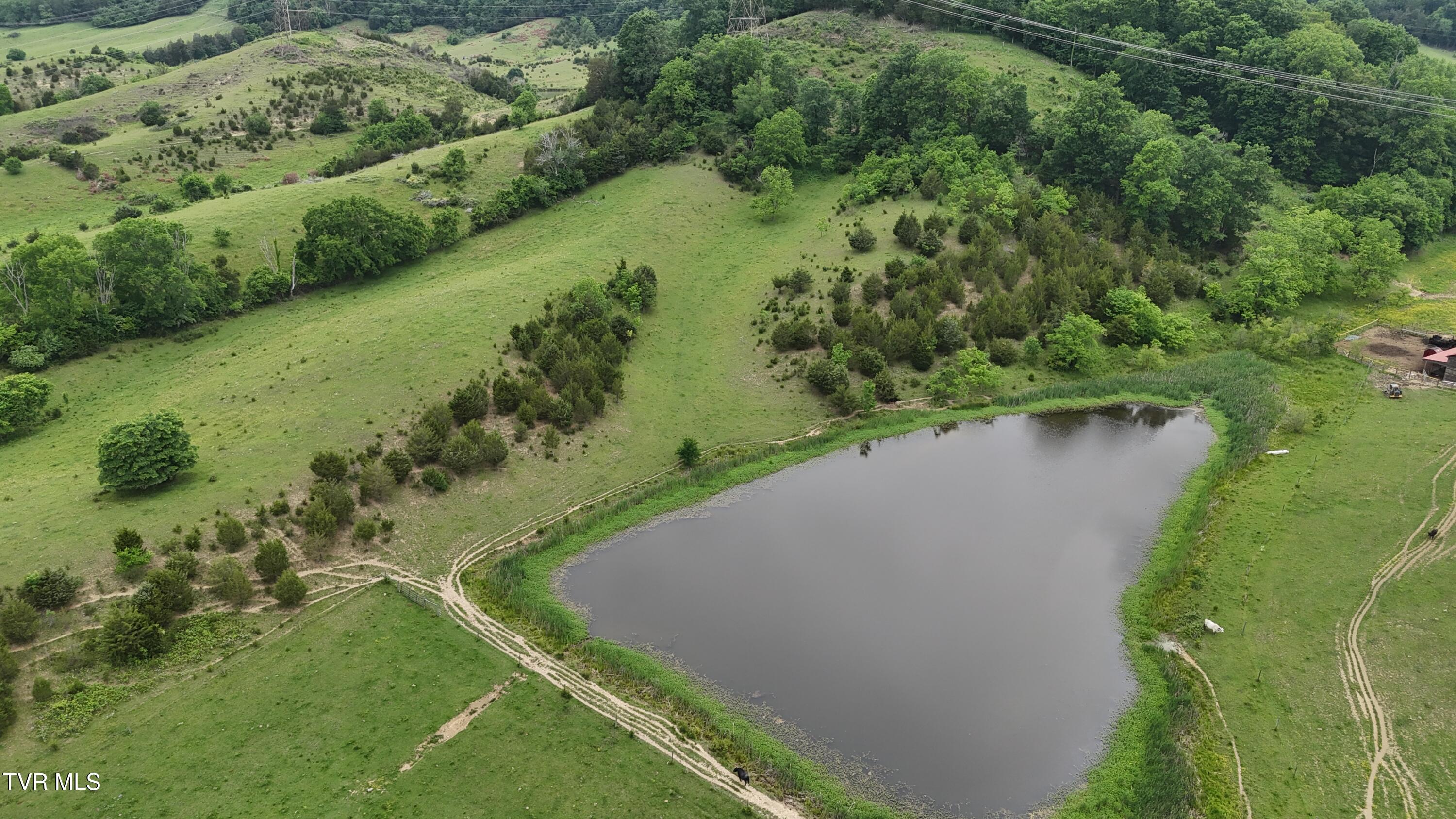 1168 Webster Valley Road Rogersville, TN 37857 - Photo 14 of 59 dji_fly_20250519_153756_0040_17476837395