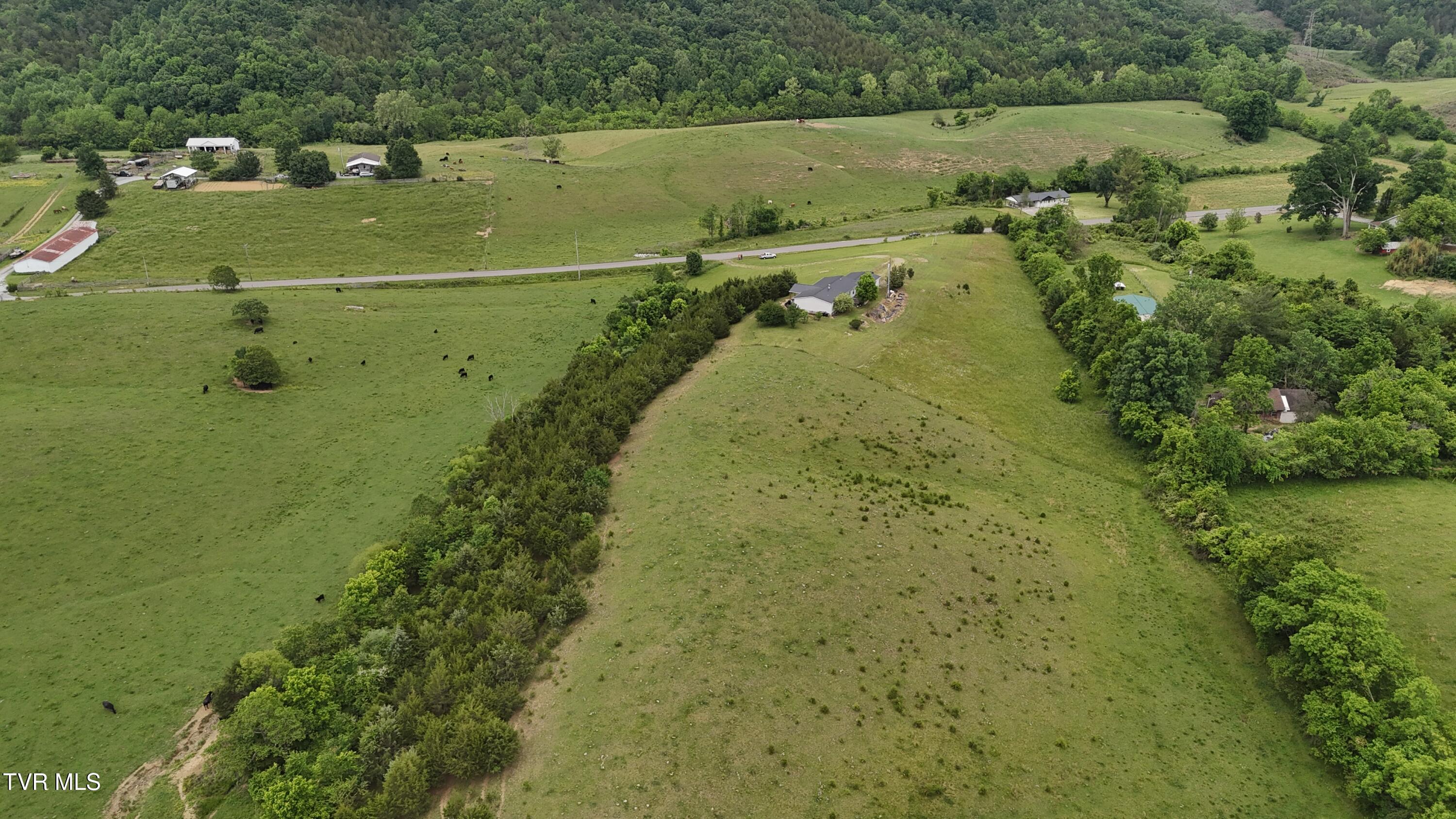 1168 Webster Valley Road Rogersville, TN 37857 - Photo 18 of 59 dji_fly_20250519_153838_0044_17476837381